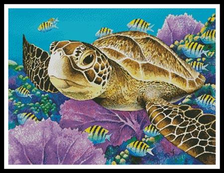Green Sea Turtle handpainted Needlepoint Canvas for Insert by Needle  Crossings