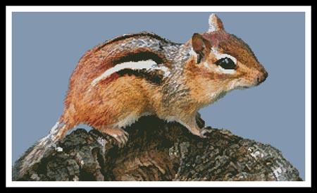 Cross Stitch Kits - Feeding Chipmunks 29.5×31.1 Embroidery C600