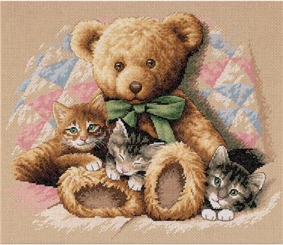 teddy kittens price