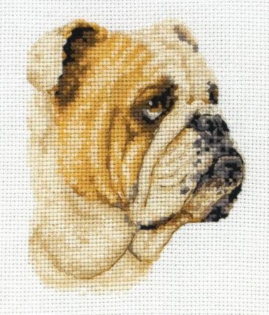 Bulldog (cross stitch kit)