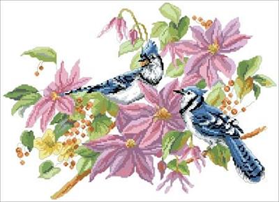 Blue Jays And Clematis Cross Stitch Pattern